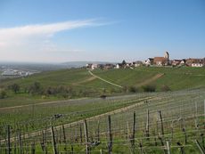 Weil am Rhein Ötlingen 008.jpg